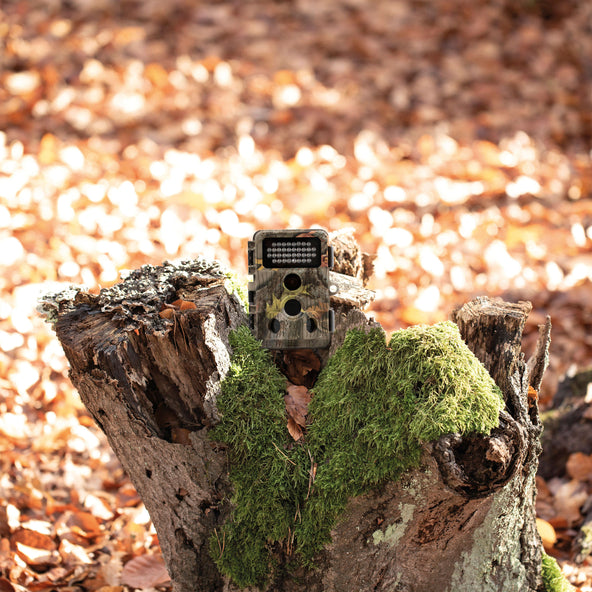 Wildkamera WK-400HDW – Full-HD, Nachtsicht & WiFi