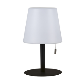 LED solar table lamp STL-255Z